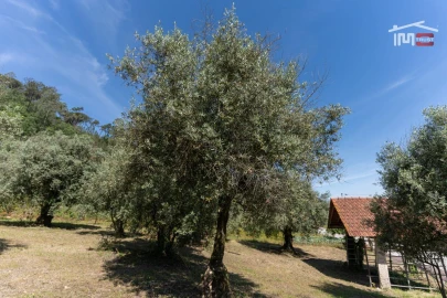 Terreno Agricola ou Rústico para Venda em Caranguejeira