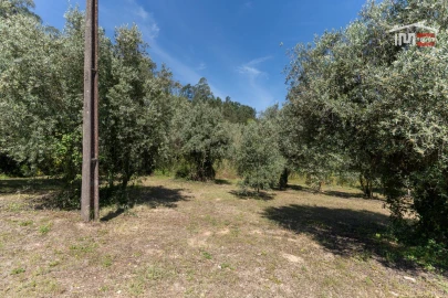 Terreno Agricola ou Rústico para Venda em Caranguejeira