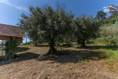 Terreno Agricola ou Rústico para Venda em Caranguejeira