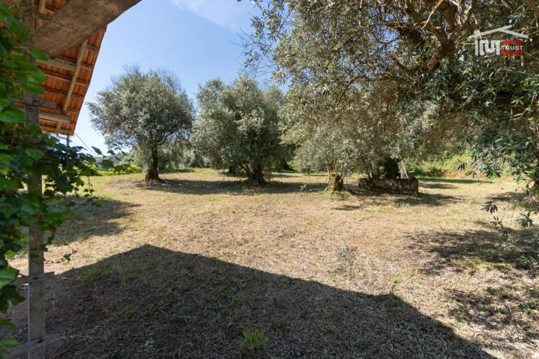 Terreno Agricola ou Rústico para Venda em Caranguejeira Foto 4