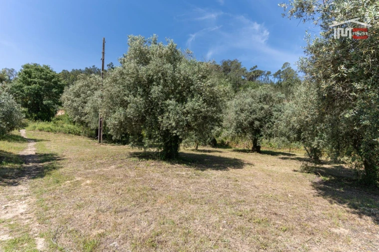 Terreno Agricola ou Rústico para Venda em Caranguejeira Foto 5