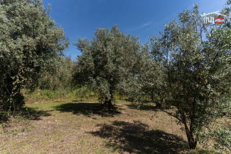 Terreno Agricola ou Rústico para Venda em Caranguejeira Foto 9