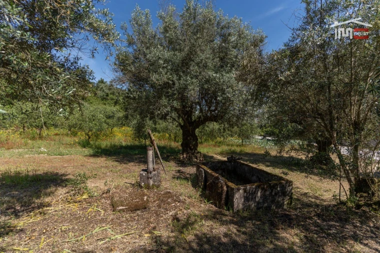 Terreno Agricola ou Rústico para Venda em Caranguejeira Foto 11