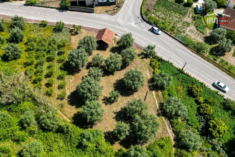 Terreno Agricola ou Rústico para Venda em Caranguejeira Foto 16