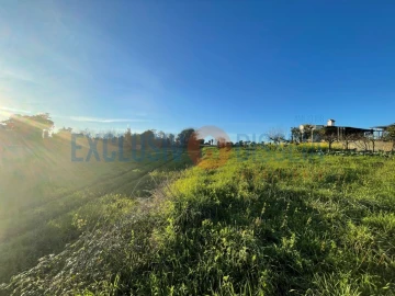 Terreno para Venda em Barrô e Aguada de Baixo