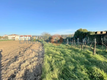 Terreno para Venda em Barrô e Aguada de Baixo