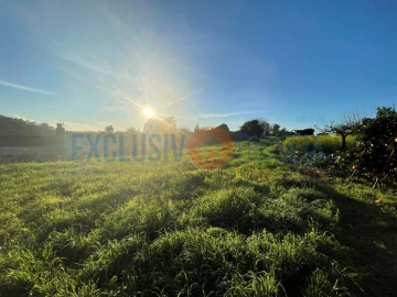 Terreno para Venda em Barrô e Aguada de Baixo