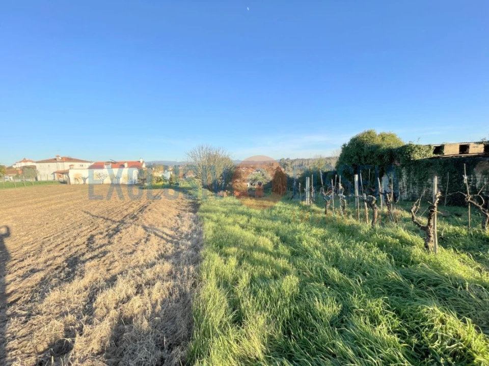 Terreno para Venda em Barrô e Aguada de Baixo Foto 4