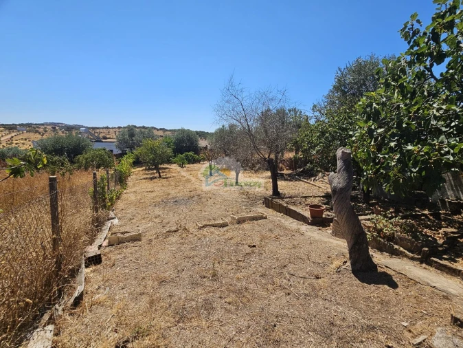 Moradia T2 para Venda em Corval Foto 14
