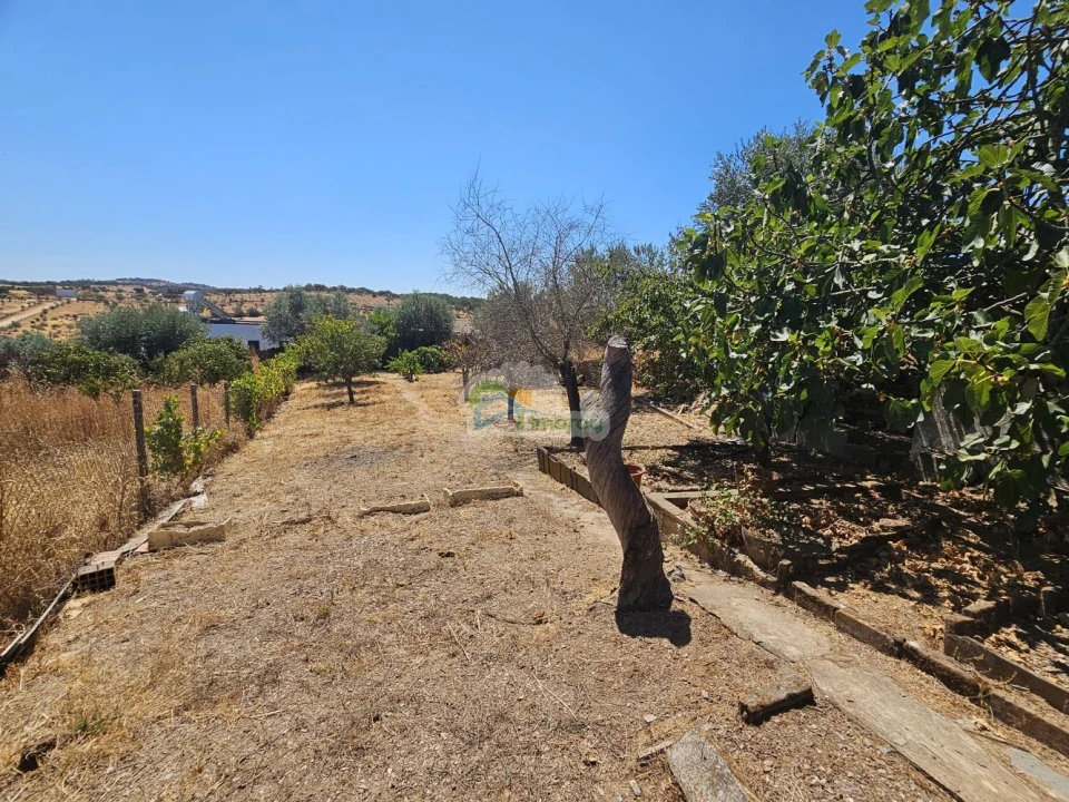 Moradia T2 para Venda em Corval Foto 13