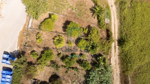 Terreno para Venda em Bombarral e Vale Covo