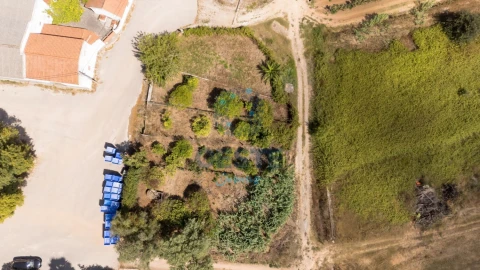Terreno para Venda em Bombarral e Vale Covo