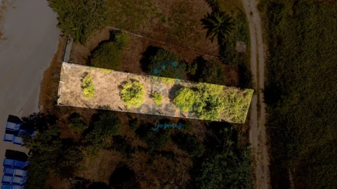 Terreno para Venda em Bombarral e Vale Covo
