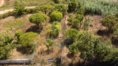 Terreno para Venda em Bombarral e Vale Covo