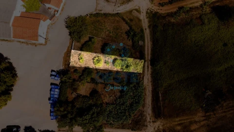 Terreno para Venda em Bombarral e Vale Covo