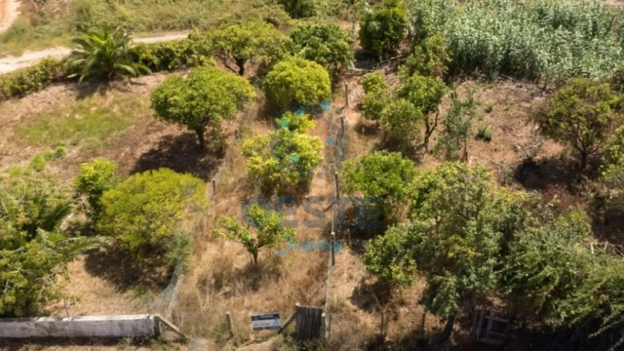 Terreno para Venda em Bombarral e Vale Covo