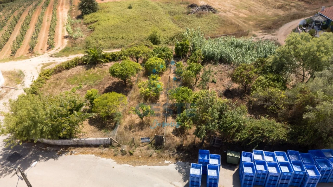 Terreno para Venda em Bombarral e Vale Covo Foto 6