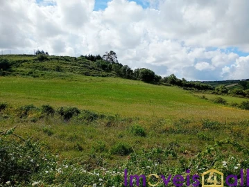 Terreno para Venda em São João das Lampas e Terrugem