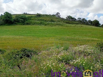 Terreno para Venda em São João das Lampas e Terrugem