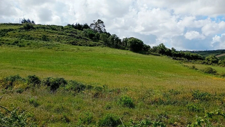 Terreno para Venda em São João das Lampas e Terrugem