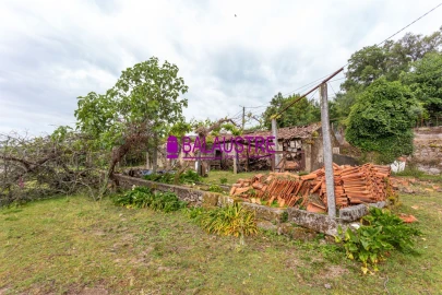 Quinta T4 para Venda em Tadim