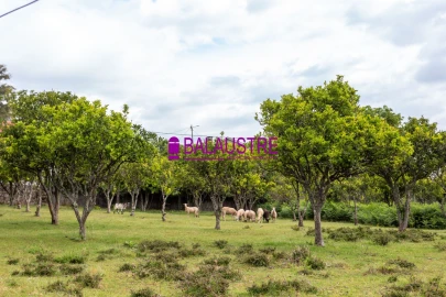 Quinta T4 para Venda em Tadim