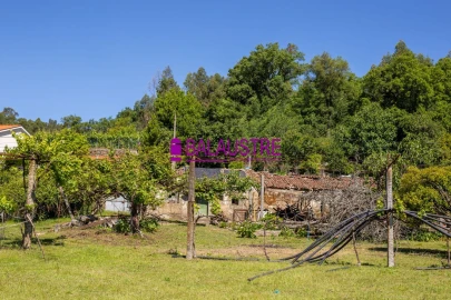 Quinta T4 para Venda em Tadim