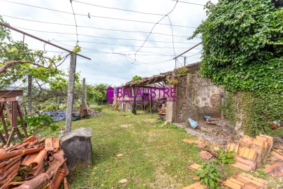 Quinta T4 para Venda em Tadim