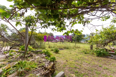 Quinta T4 para Venda em Tadim