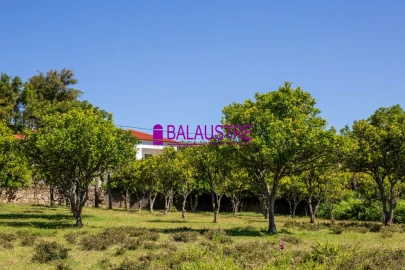 Quinta T4 para Venda em Tadim
