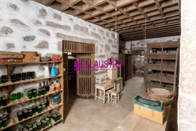 Quinta T4 para Venda em Tadim