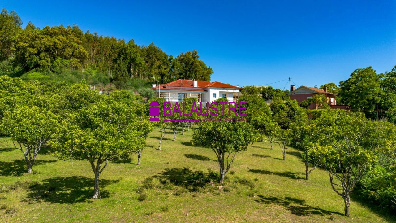 Quinta T4 para Venda em Tadim Foto 9