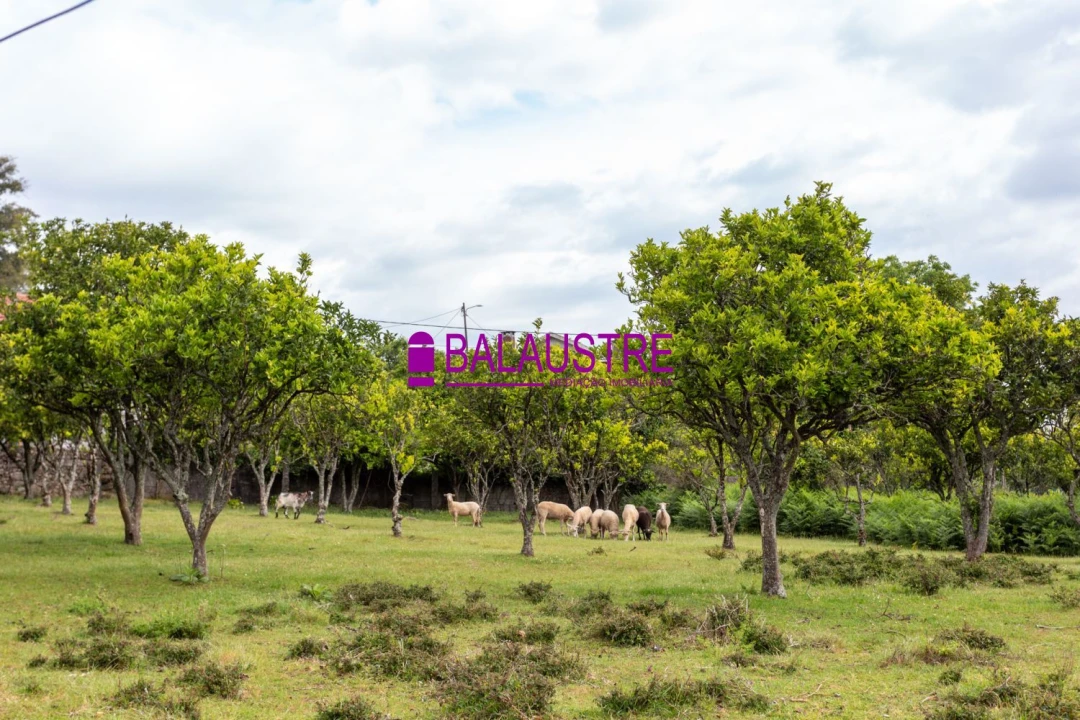 Quinta T4 para Venda em Tadim Foto 48