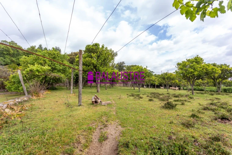 Quinta T4 para Venda em Tadim Foto 47