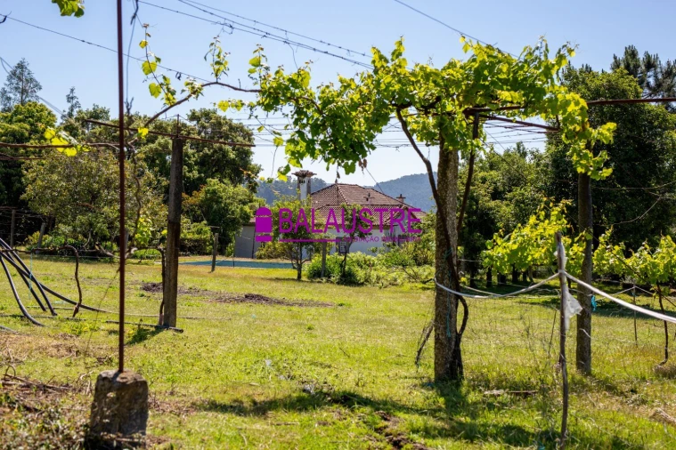 Quinta T4 para Venda em Tadim Foto 21