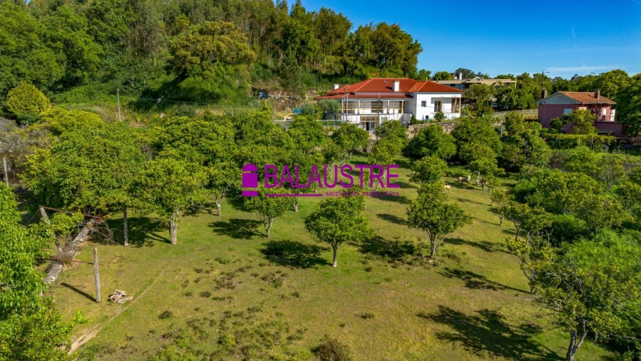 Quinta T4 para Venda em Tadim Foto 8