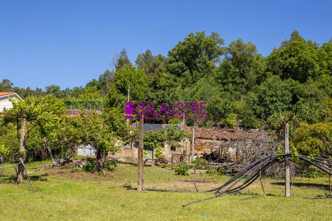 Quinta T4 para Venda em Tadim Foto 17