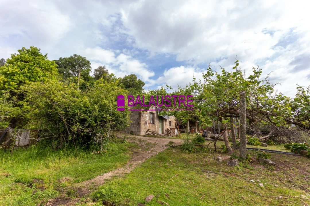 Quinta T4 para Venda em Tadim Foto 60