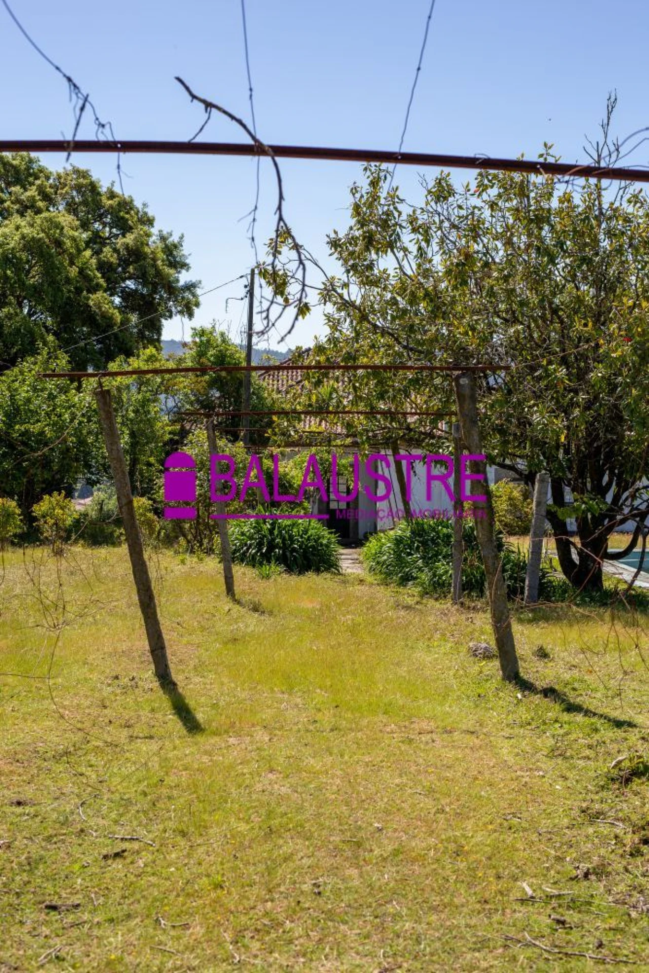 Quinta T4 para Venda em Tadim Foto 19