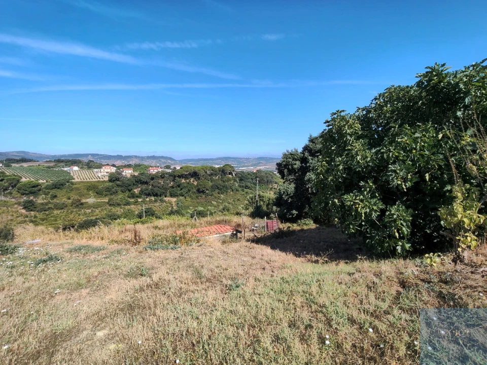 Terreno para Venda em Arruda dos Vinhos Foto 1