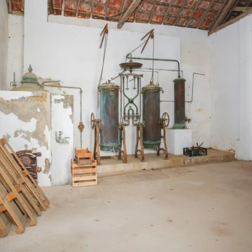 Quinta para Venda em Enxara do Bispo, Gradil e Vila Franca do Rosário Foto 12