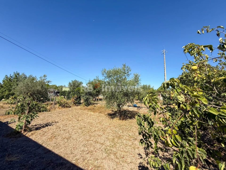 Moradia T6 para Venda em Abrantes (São Vicente e São João) e Alferrarede Foto 48