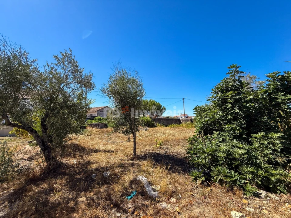 Moradia T6 para Venda em Abrantes (São Vicente e São João) e Alferrarede Foto 49