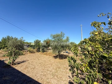 Moradia T6 para Venda em Abrantes (São Vicente e São João) e Alferrarede