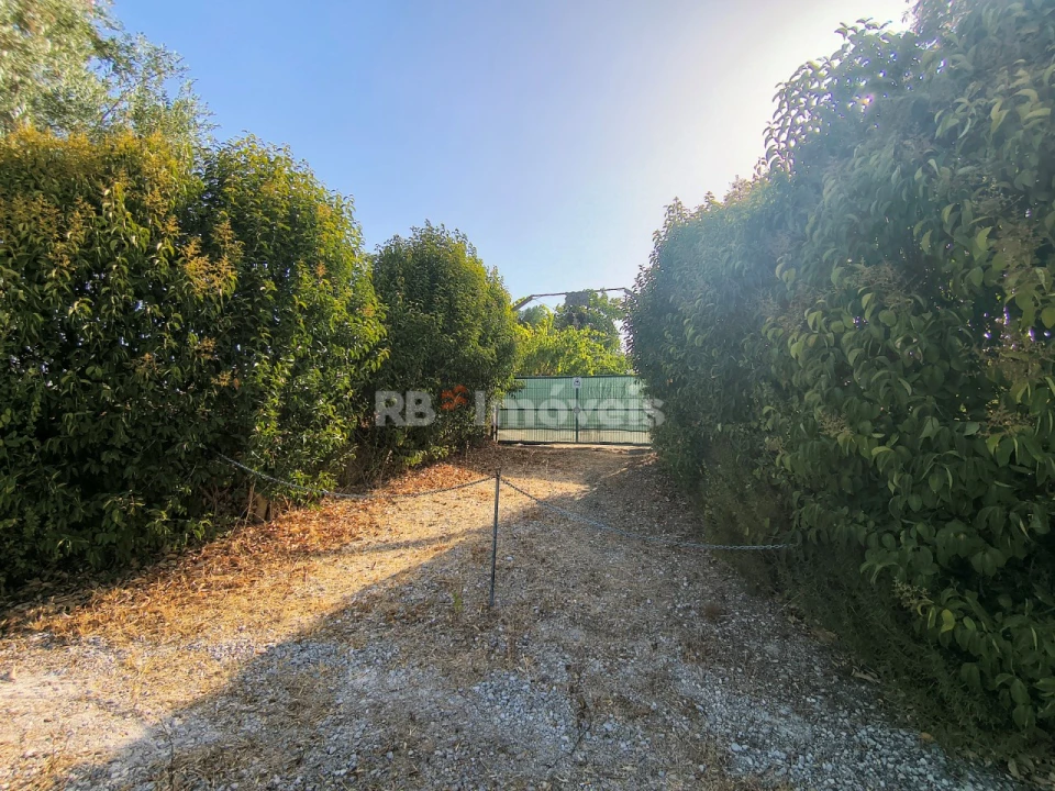 Terreno para Venda em Paialvo Foto 3