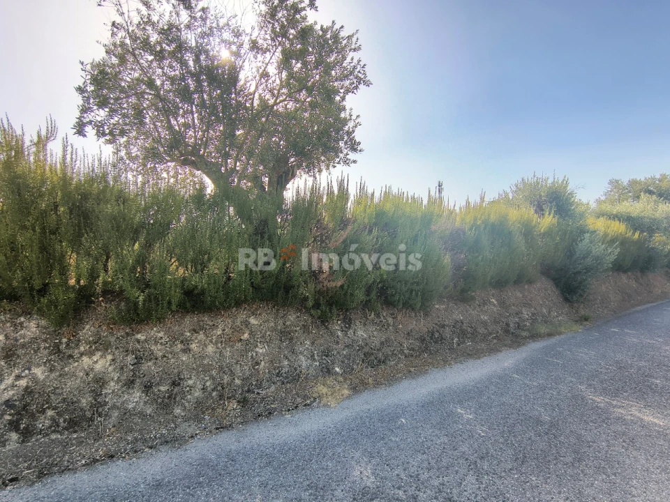 Terreno para Venda em Paialvo Foto 31