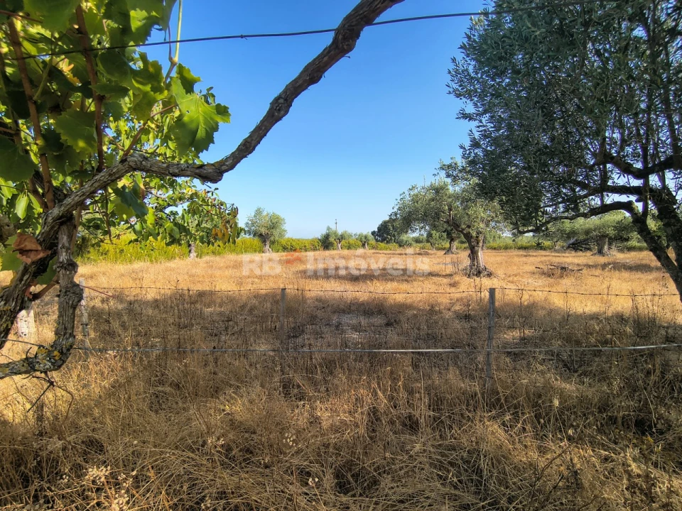 Terreno para Venda em Paialvo Foto 8