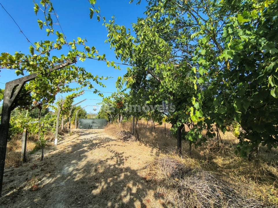 Terreno para Venda em Paialvo Foto 4