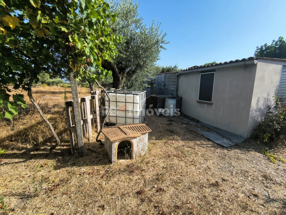 Terreno para Venda em Paialvo Foto 9