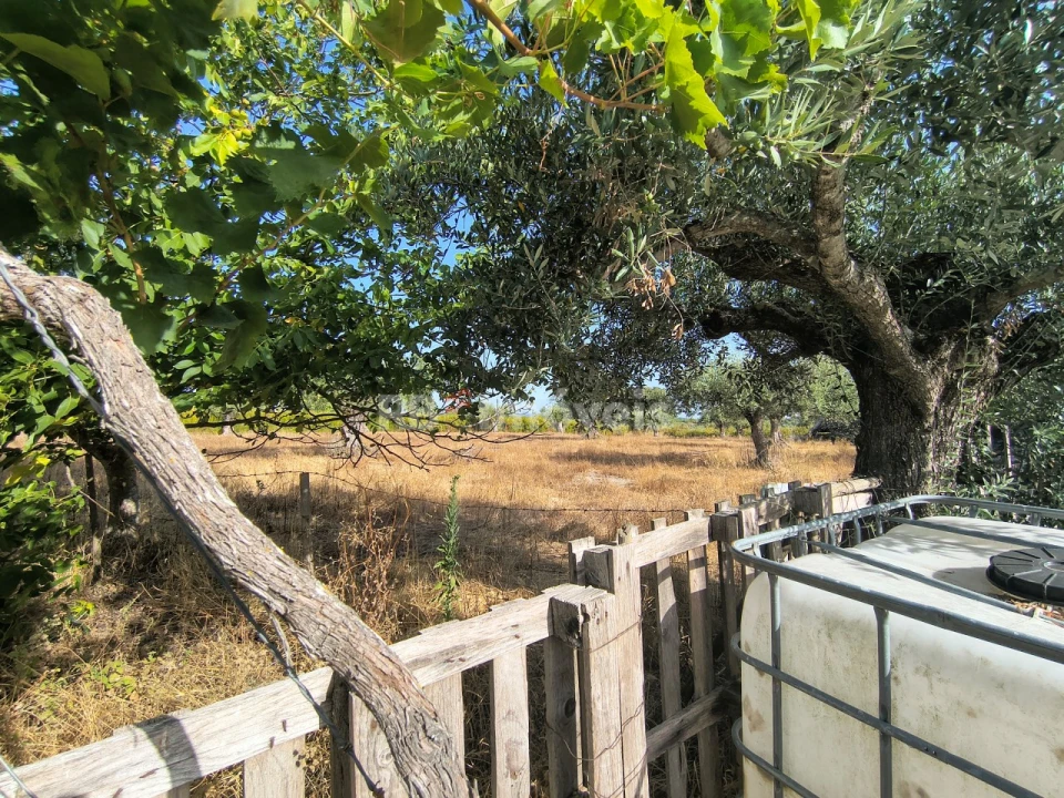Terreno para Venda em Paialvo Foto 10